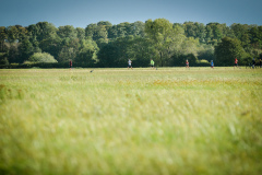 D80_3610_PM