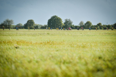 D80_3612_PM